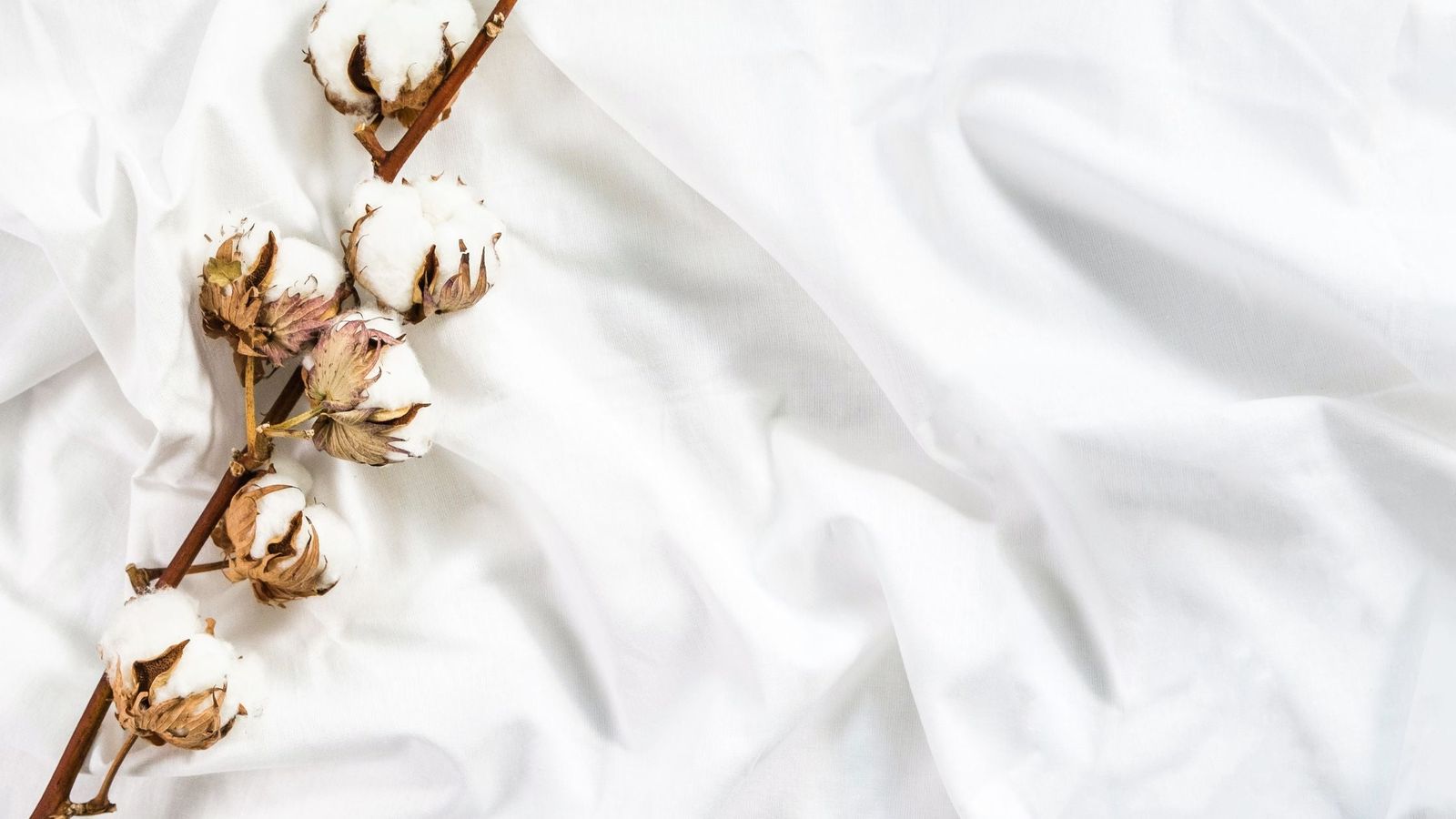 Percale de coton