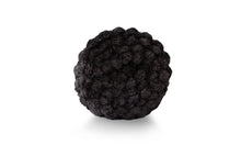 Plaid Ted Lapidus 150 × 200 cm